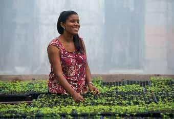 till agronom på universitetet. Fairtrade-premien har också använts till att bygga en skola och en akvedukt för människorna på landsbygden. Kaffeodlare i generationer Celine Herrera.