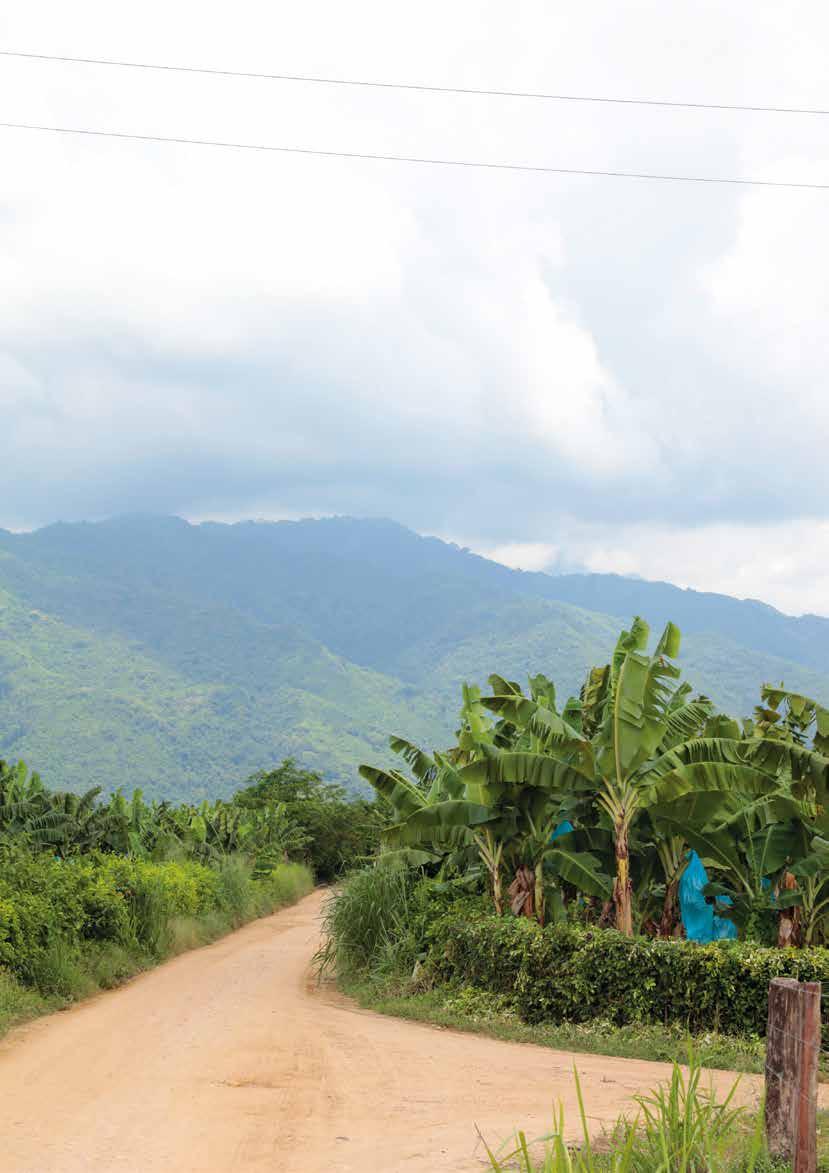 INNEHÅLL Om Fairtrade... 3 Fairtrade efter 20 år mer relevant än någonsin... 4 Fairtrade på den svenska marknaden... 6 Överblick: Fairtrade i Sverige under 20 år... 8 Odlarporträtt: Celine Herrera.