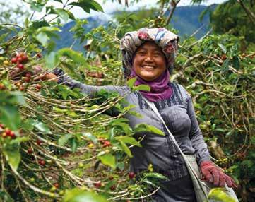OM FAIRTRADE FAIRTRADES VISION ÄR EN RÄTTVIS VÄRLDSHANDEL DÄR PRODUCENTER I LÄNDER MED UTBREDD FATTIGDOM HAR MÖJLIGHET ATT SKAPA SIG EN TRYGG OCH HÅLLBAR TILLVARO, I VILKEN DE KAN UTVECKLAS OCH