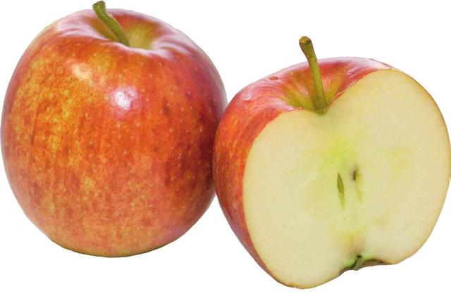 JONAGORED är en korsning mellan Jonathan, Golden Delicious och Red Delicious, därav namnet. Äpplet upptäcktes 1980 av Mr. Morren i Belgien.