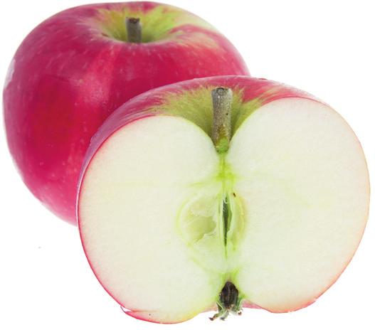 DISCOVERY kallas också Rödnos. Detta äpple är en korsning framtagen i England på 60-talet. Stolta föräldrar är sorterna Worcesterparmän och Beauty of Bath.