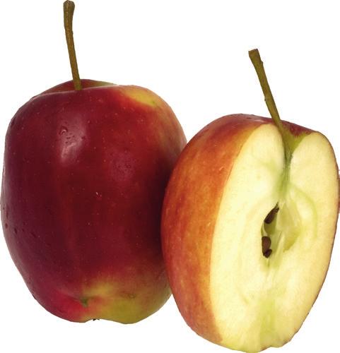 Smaken är friskt söt och aromatisk och fruktköttet är fast och vitt, ibland med en rosa ton. Äpplet är tåligt men bör inte lagras så säsongen är därför kort.