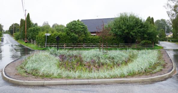 Ett förslag kan vara 20 planteringsytor (en planteringsyta i anslutning till varje nybyggt/ombyggt hus och dess stuprör, samt i anslutning till några av parkeringarna) som utformas som rain gardens.