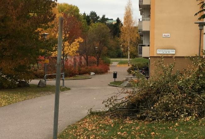 Figur 7. Vid husen i det sydöstra hörnet av planområdet ligger en lågpunkt. 3.3 RECIPIENT Utredningsområdets recipient är Mälaren Västerås hamnområde.