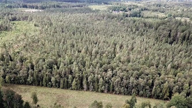 (Kommentar: Två områden av samfällighet Virestads-Kvarnatorp s:2 medräknade i arealen för skogsbruksplanen.