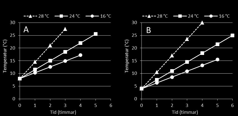 Figur 4. Uppskattad temperaturökning i livsmedel över tid vid tre olika lufttemperaturer, efter antagande om genomsnittliga linjära temperaturökningar baserade på försöksdata; 28 C (6.