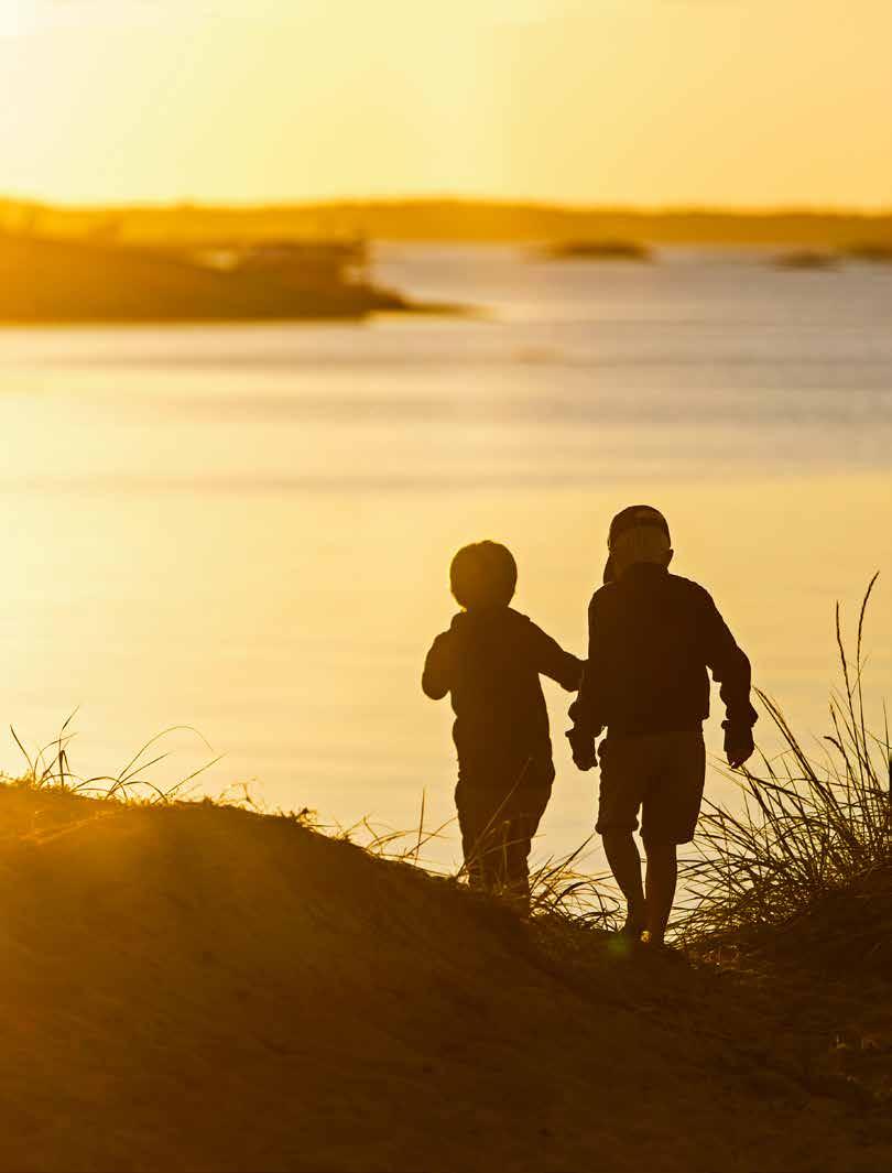 #3 / 2018 På resa längs NORD/SYDLINJEN SÄLAR som hemligt vapen på Gålö Gräset är