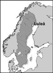 13. I Luleå talar politikerna om "Vision 2010". Målet är att folkmängden ska vara minst 80 000 personer i slutet av år 2010.