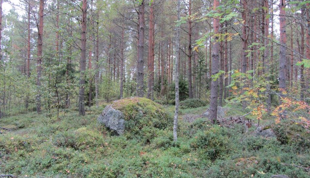 S i d a 4 På detaljplanområdet får inte placeras sådana funktioner som medför olägenheter för den användning av andra områden som anvisats i detaljplanen.