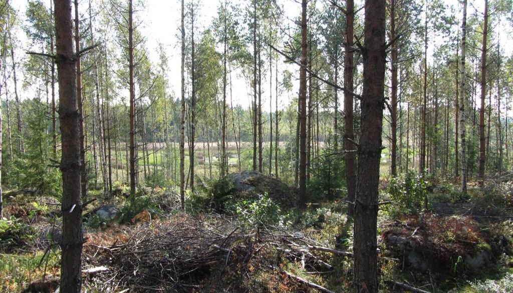 I direkt anknytning till planområdets södra del finns Verkesviken, vilken är ett litet försumpat, vassbevuxet vattendrag, som har förbindelse till havet genom två bäckar.