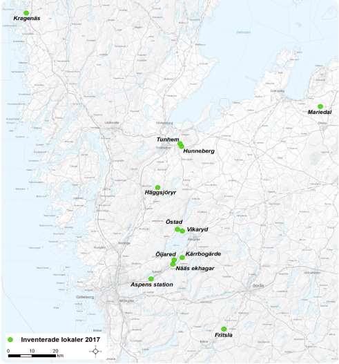 Inledning Ecocom AB har på uppdrag av Länsstyrelsen i Västra Götalands län genomfört en inventering av läderbagge Osmoderma eremita. Föreliggande rapport är författad av Per Österman, Ecocom AB.