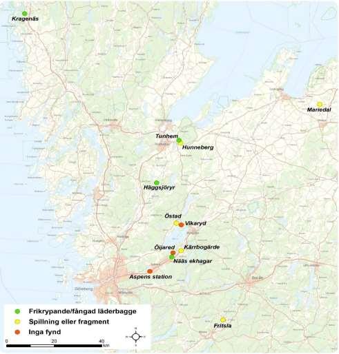 Resultat Inventeringen av läderbagge på 12 lokaler in Västra Götalands län 2017 resulterade i fynd av läderbagge på nio av totalt tolv lokaler (figur 2, bilaga 3).