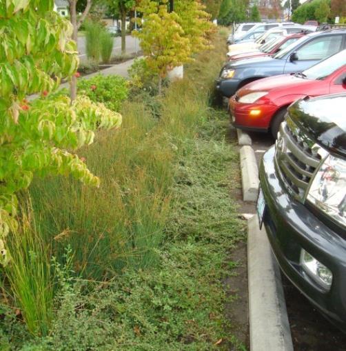 Figur 12. Exempel på utformning av vegetationsytor intill parkeringsyta Placering av gröna ytor inom planområdet ska ske intill hårdgjorda ytor såsom vägar och parkeringsytor.