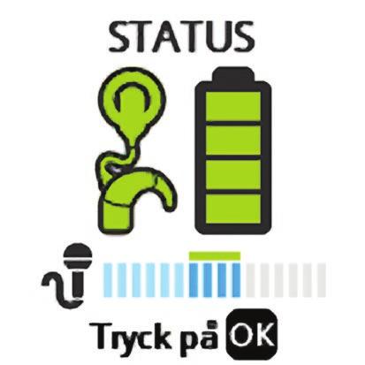 Två skärmar med Status visas: På den första skärmen för Status visas processorns statusindikator. Grönt innebär att allting fungerar.