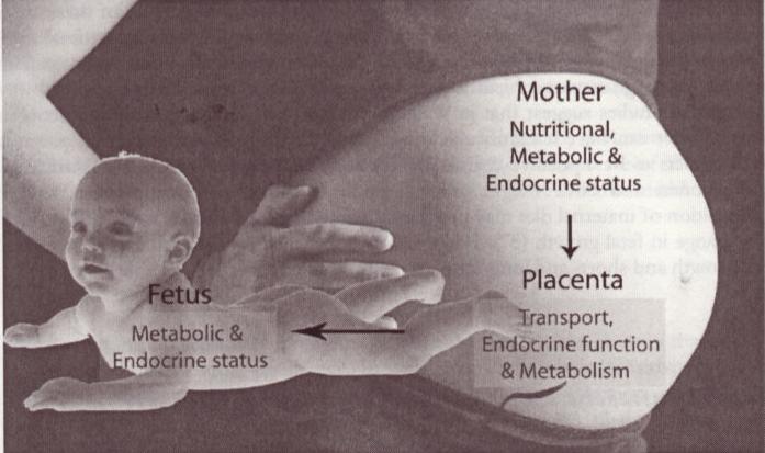 Risker vid kronisk hypertoni och graviditet Beroende av grundsjukdomens svårighetsgrad Maternella: