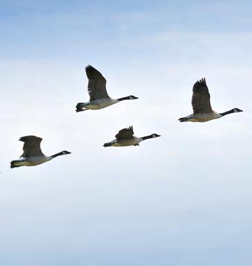 När det börjar bli dags att göra dina val skickar vi ut den här inredningsvalsbroschyren, tillsammans med en prislista, och annan viktig information.