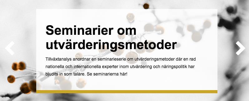Dessutom saknar bilderna alt-texter, vilka ska finnas enligt WCAG-kraven. Detta ska finnas även om bilden är dekorativ.