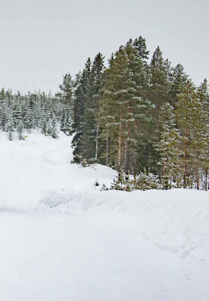 den och åka En annan sak som vi inte får glömma är att Mählers har fjädrande skärhållare och det är ju en riktigt viktig säkerhetsdetalj då man plogar skogsvägar där det ofta sticker upp sten och