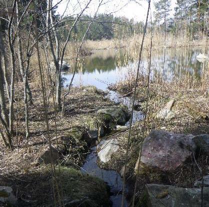 Nyckelfaktorer: