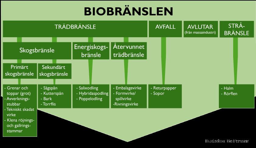 1.2 Definition av grot Biobränslen är alla bränslen i fast, flytande eller gasform som utvunnits såväl direkt som indirekt från olika typer av biologiskt material.
