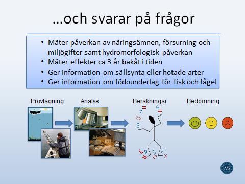 Tema : Livet på botten Martin Liungman, Medins Biologi AB MASKAR, MÄRLOR OCH ANDRA GYTTJEDJUR: LIVET PÅ 120 M DJUP Martin Liungman började med att undra hur det egentligen ser ut på