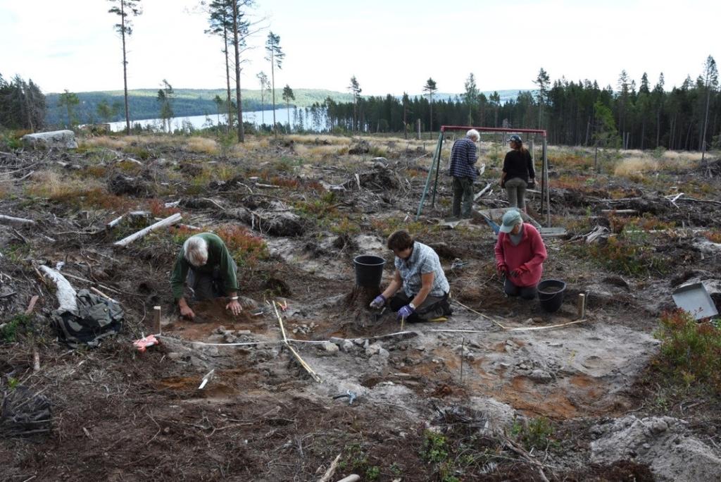 Arbetsbild, några av kursdeltagarna gräver och sållar vid