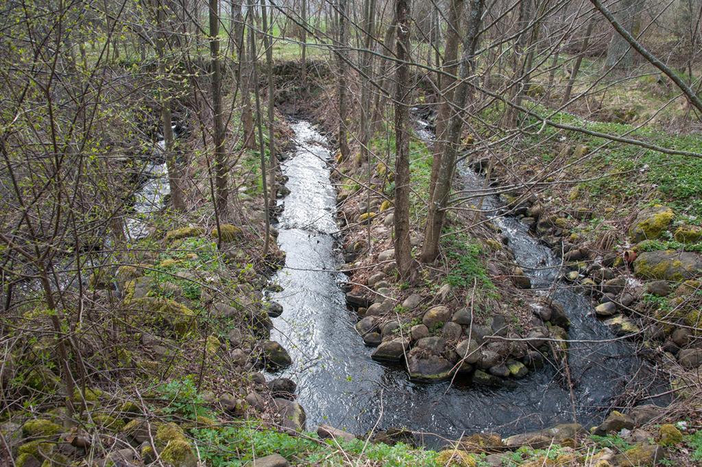 Ett omlöp förbi ett vandringshinder kan gynna både fiskevården och vattenförekomstens status. rinner under huset som en gång var en viktig kvarn för den omgivande jordbruksbygden.