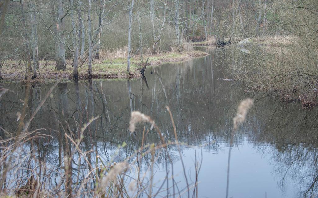 minska näringsflödet från ån till havet. Genom vattenrådets tillkomst har vattenvården längs Kävlingeån fått en bredare bas.