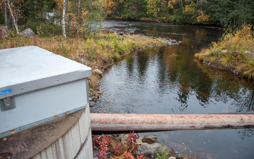 VATTENKAMP I VEMDALEN Konstsnö eller öringrom? Stora mängder vatten pumpas upp ur Norrveman för att försörja skidbackarna med konstsnö.