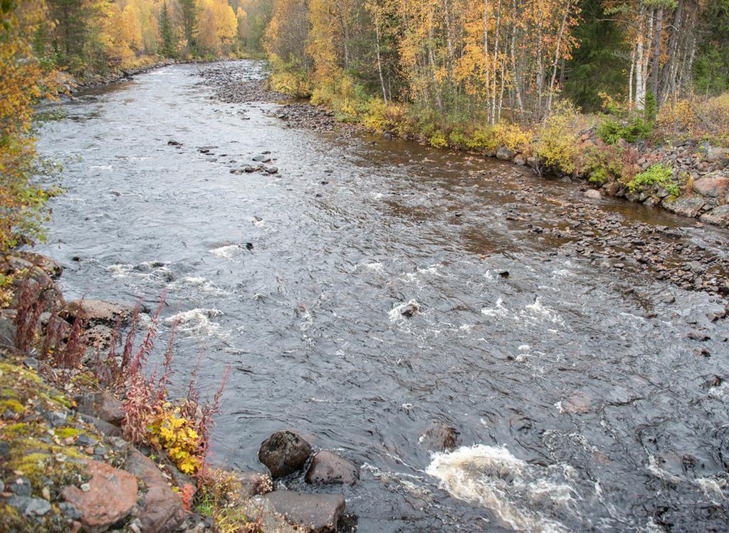 Vatten till öringens rom, eller till konstsnö i skidbacken. I Vemdalen avgörs kampen om vattnet i domstol.