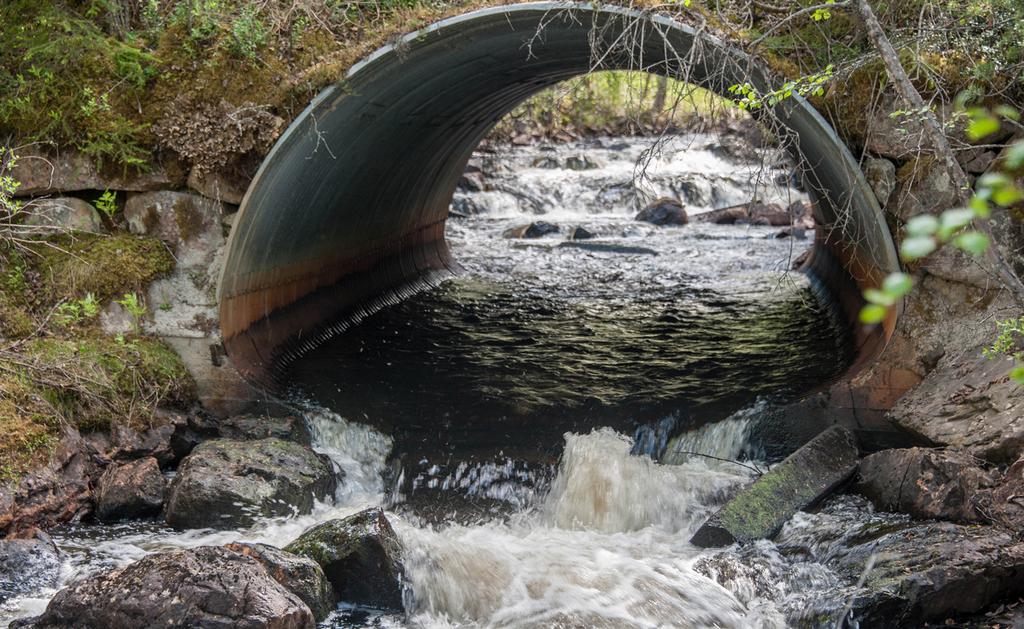 Rätt anlagda vägtrummor är viktiga för vattendragens biologiska mångfald.