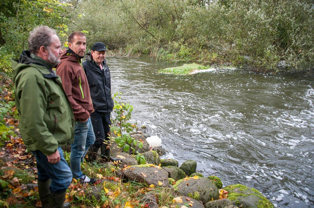 Numera kan havsöringen vandra upp 35 kilometer i Kävlingeån. Flera projekt som gynnar både vattenvården och fiskevården är på gång.