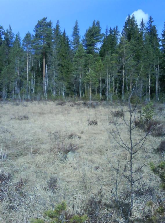 Variationen är för övrigt stor inom naturtypen beroende på bildningshistoria, storlek, markanvändningshistoria, mineralhalt, geografiskt läge, näringsförhållanden, torvdjup, och fuktighet.