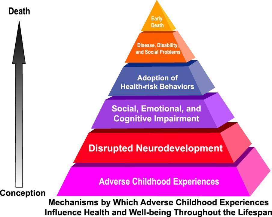 The Adverse Childhood