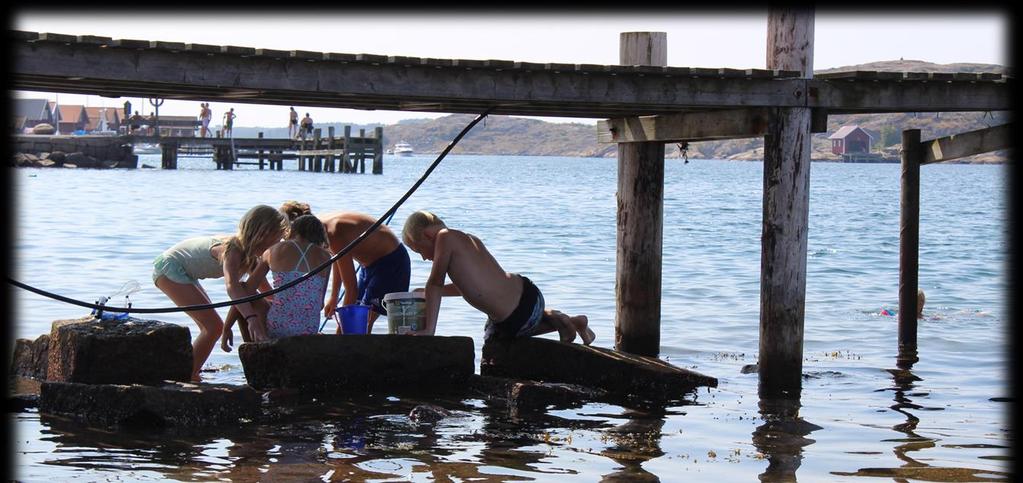 TanumStrand by The Sea 18-20 Maj 2018 Att BFA anordnar sommarträffar, sedan många år tillbaka, har några olika syften.