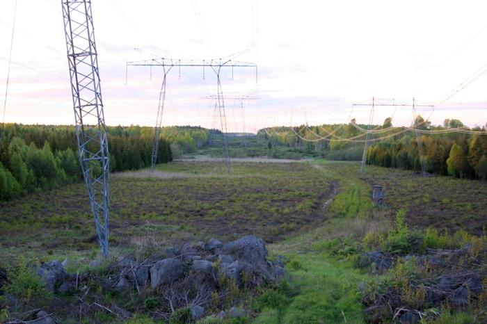 En annan faktor som var viktig både i kraftledningsgator och i skogsbilvägar var förekomsten av lövsly längs transekterna och mängden lövträd i de angränsande brynen (Tabell 3).