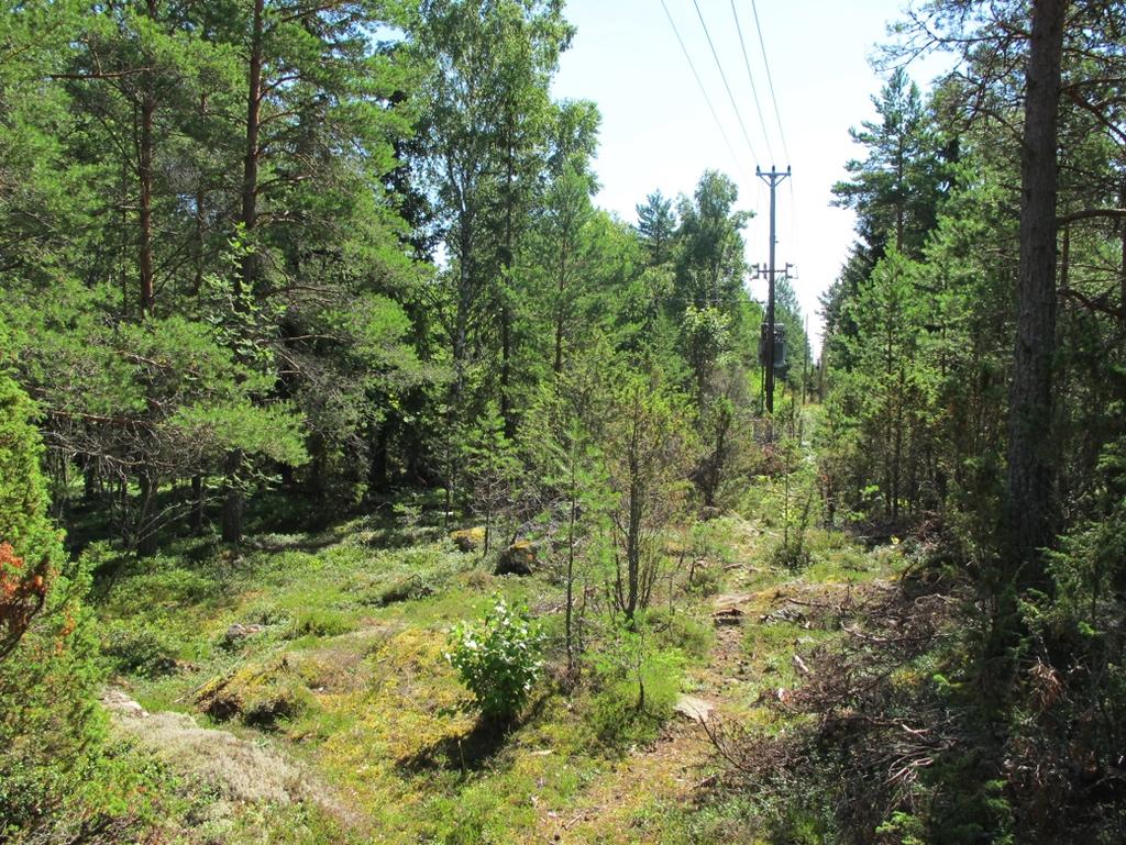 Inledning Med modernt och intensifierat jordbruk blir artrika miljöer, som t.ex. naturbetesmarker, alltmer fragmenterade och isolerade i landskapet (Ihse 1995; Stoate m.fl. 2001).