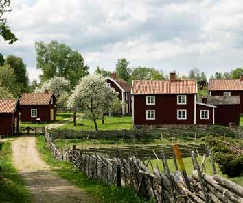 Oskarshamns konditoriet utvecklats till ett populärt besöksmål. Testa praliner och bakverk och njut av smakupplevelser utöver det vanliga.