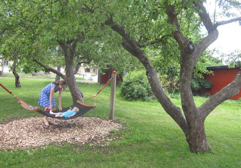 Varje park- och naturområde bör bli en egen plats, med egen identitet och sammansättning av värden, inom ramen för en övergripande karaktär.