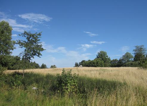 NATUROMRÅDE (5-50 ha) Öppen ängs- eller hagmark, alternativt sluten till halvsluten skogsmiljö ofta på höjdrygg. Tall och lövinslag är vanligt. Lunda gravfält 51. Lunda gravfält/lunda bytomt 52.