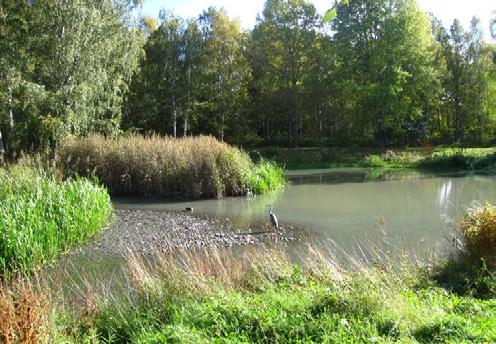 Vid Gamla Bromstensvägen finns ett parkmoråde där Vattnet i Nälsta dike fördröjs i en våtmark för att sedan via dammanläggningar slutligen mynna i Spångaån.
