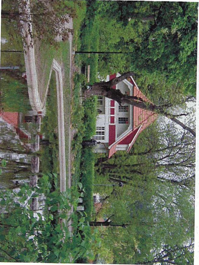 Villaträdgårdarna innehåller för stadsdelarna karaktäristiska äldre fruktträd, varvat med tomter med sparad kuperad naturmark med gran, tall, björk mm.