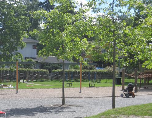 TRÄD Parkerna ska innehålla ett varierat och olikåldrigt trädbestånd som stämmer överens med parkernas karaktär. Stockholms Parkprogram.