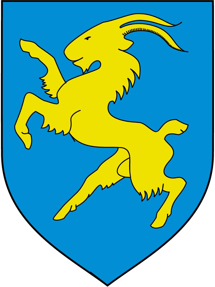 KOMMUN- INDELNINGS-