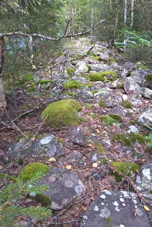 Eldpallkojorna hade ett uppbyggt fundament för en öppen härd (eldpall) mitt på golvet och oftast fasta bänkar (lavar) utmed långväggarna.