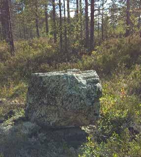 Något försänkt, 0,1 m, mot omgivande mark. Fortsätter utanför utredningsområdet i S och Ö. Flack till småkuperad moränmark. Gles tallskog. Ej kulturhistorisk lämning Figur 17.