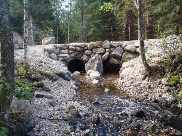 Det är i huvudsak återintroduktioner där försurningen slagit