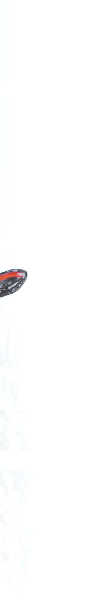 FREERIDE 154/165 Motor: 850 E-TEC med SHOT-start Plattform: REV Gen4