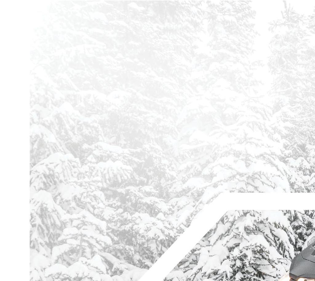 2019 BACKCOUNTRY cmotion