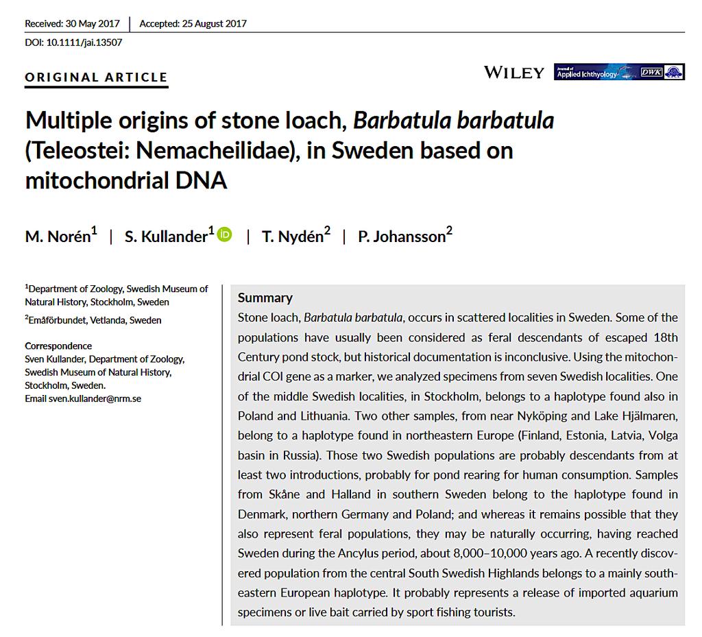 The stone loach population in Stockholm, belongs to a haplotype